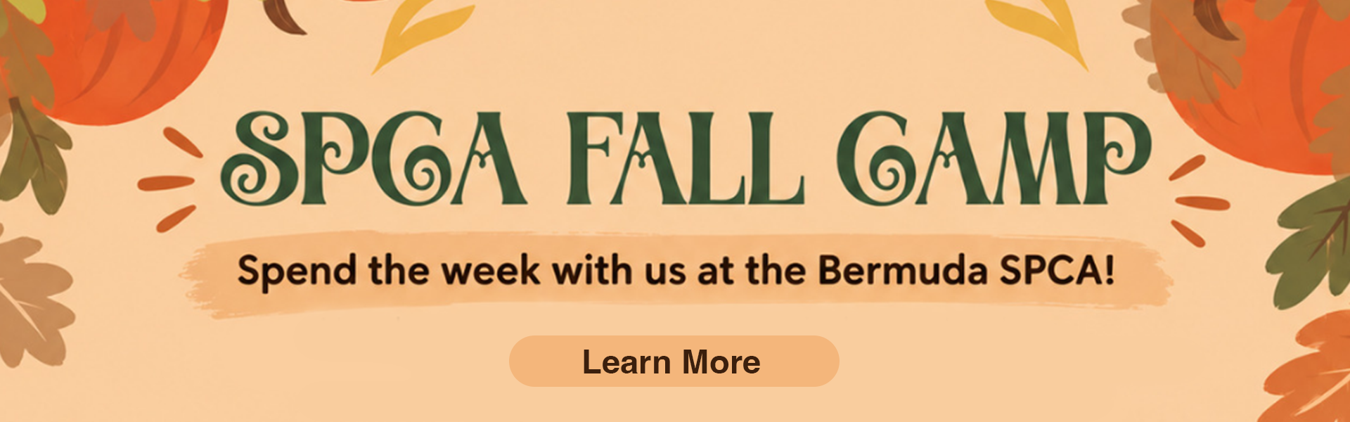 camp_banner