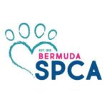BermudaSPCA